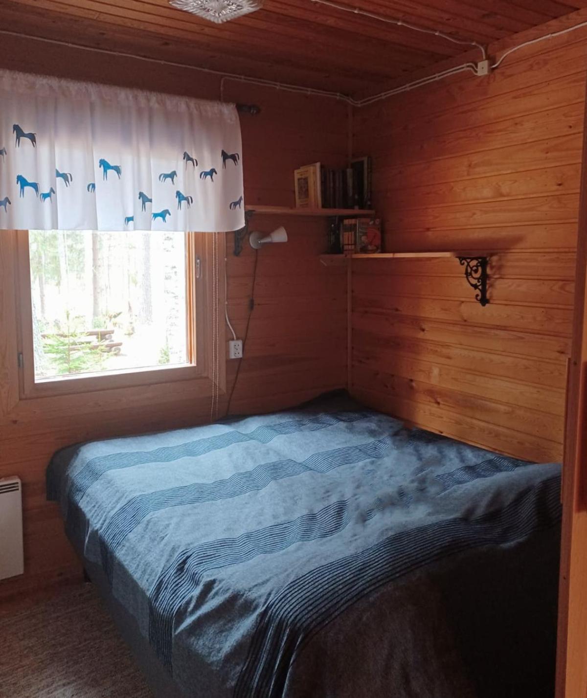 Accommodation And Fishing Vonkale Äänekoski Pokoj fotografie