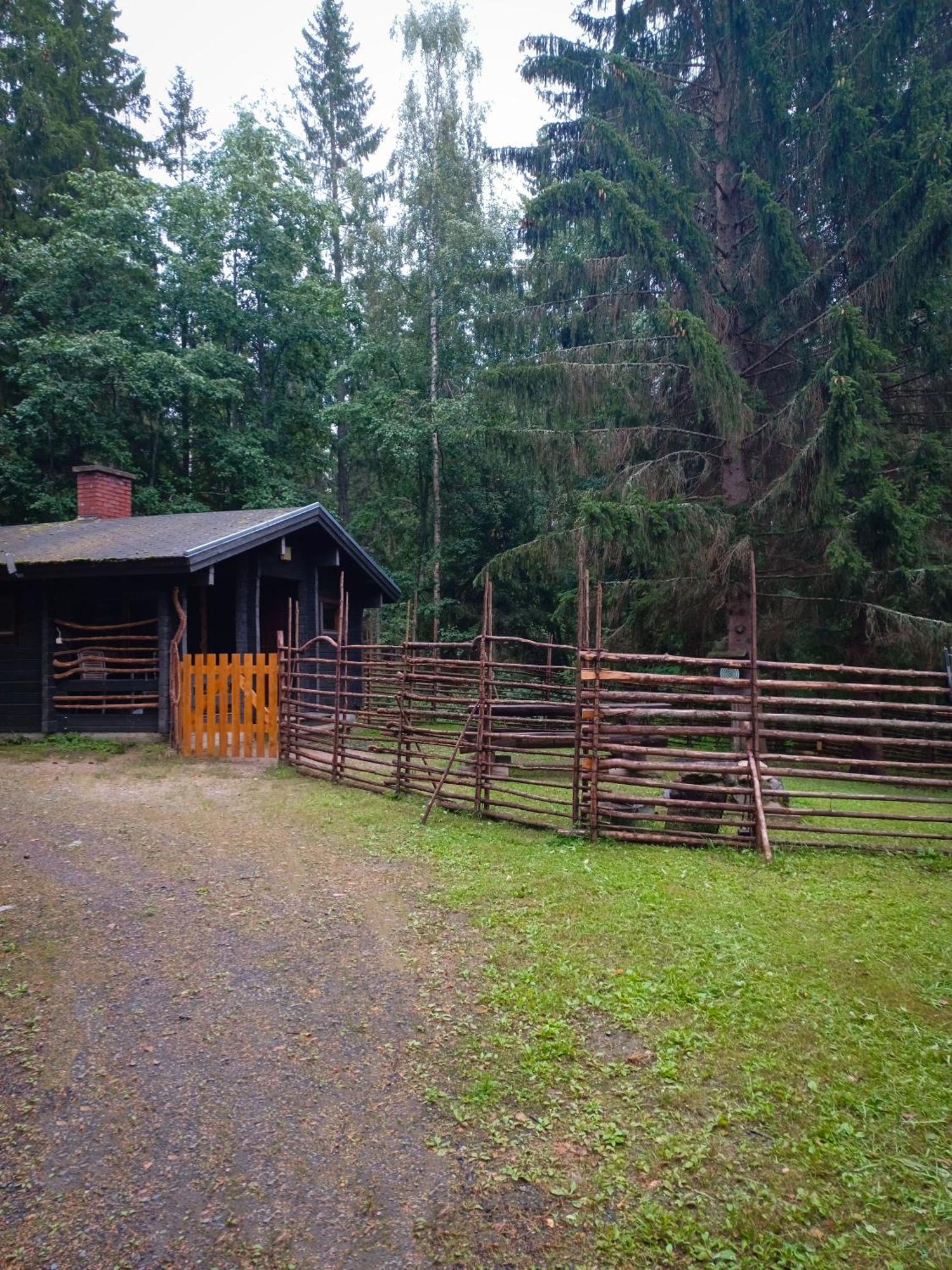 Accommodation And Fishing Vonkale Äänekoski Exteriér fotografie